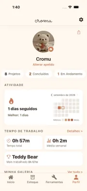 Tela de perfil do cromu com mapa de atividade e estatísticas de artesanato